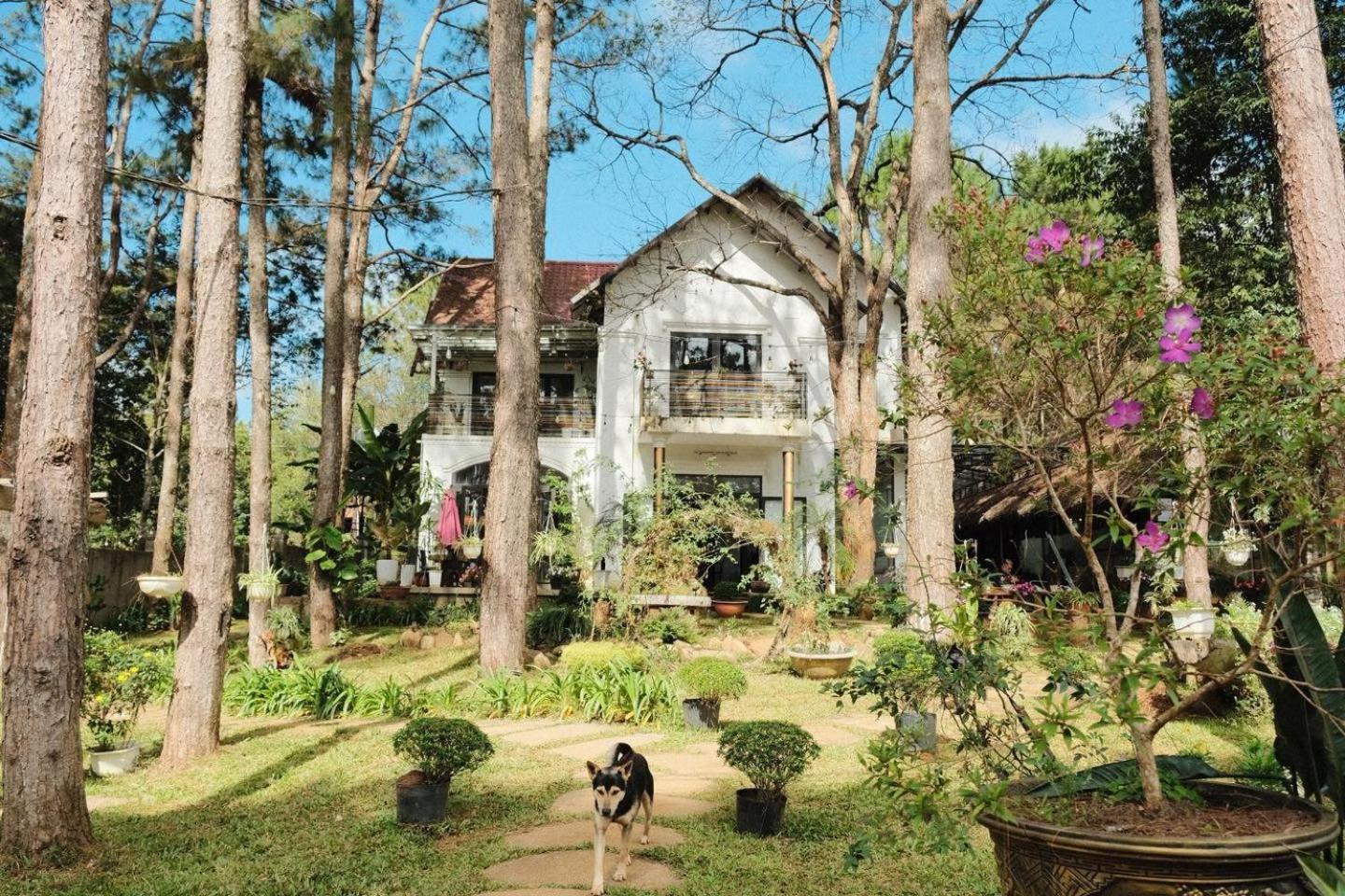Snghe Mang Den