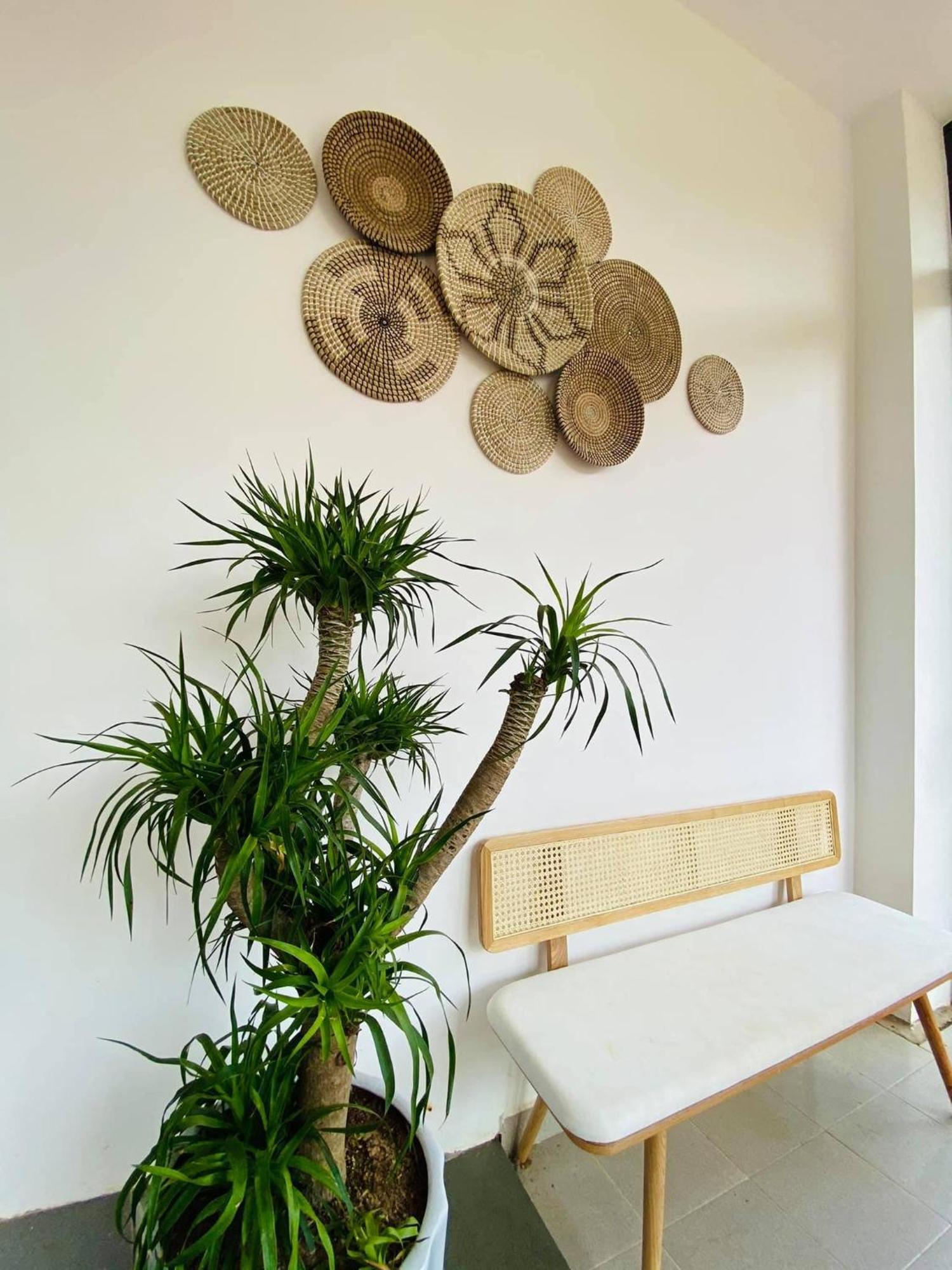 Homestay Snghe Mang Den Kon Von Kla